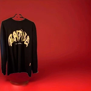 Pokemon Charizard Nintendo Gotta Catch Em All Long Sleeve Sweatshirt Size Small - Picture 1 of 7
