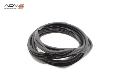 RAM PROMASTER 2500 1500 3500 2014-25 carrocería de puerta delantera izquierda sello de resistencia OEM Foto 1 de 4