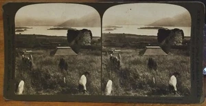 H.C. WHITE "Perfec" Series Stereoview ROUND TOWER AGHADOE Lakes Killarney 1903 - Picture 1 of 4