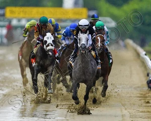 SEIZE THE GREY 2024 PREAKNESS STAKES WINNER JAIME TORRES UP 8X10 PHOTO STRETCH - Picture 1 of 1