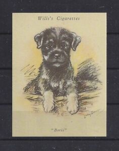 1940 Reissue Dawson Dog Art Uk Cigarette Trade Card Miniature Standard Schnauzer