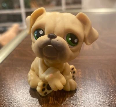 100% AUTHENTIC Littlest Pet Shop Lot Brown Bulldog Dog Bertie #135 - Image 1 of 4