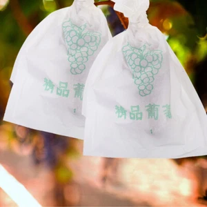 100 Pcs Grape Packaging Bag Bags for Grapes Protection Waterproof - Picture 1 of 12