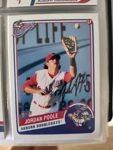 Jordan Poole Autograph Auburn Doubledays - Picture 1 of 1