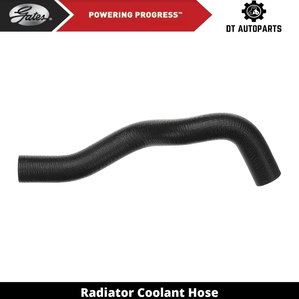 Manguera de refrigerante de radiador de gas 2,5 L L4 2002-2006 Nissan Sentra puertas inferiores 2003 Foto 1 de 4