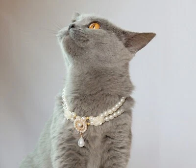 Cat Collar Puppy Pet Necklace Small Dog Bling Rhinestone Pearl Collars Chihuahua - Image 1 of 4