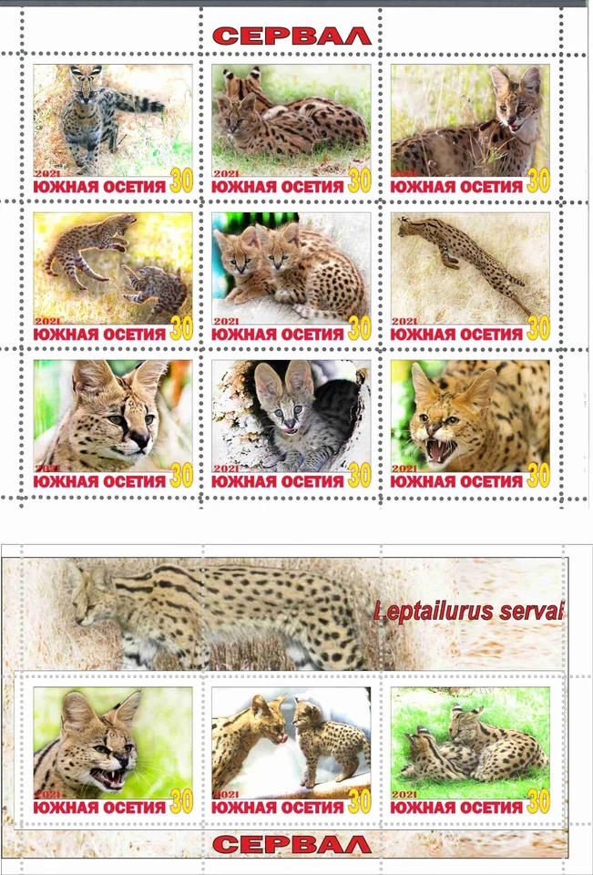 Stamp sheet+block Serval South Ossetia 2021 Wild Cats - Image 1 of 1