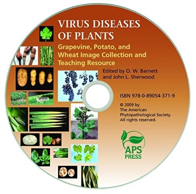 Virus Diseases of Plants: Grapevine, Potato, and Wheat: Image Collection 2009 - Image 1 of 1