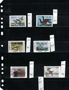 GA Georgia Duck Lot DSS - Foto 1 di 1