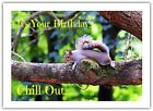 Squirrel on Tree Branch, Chill Out, Relax, Enjoy - Birthday Card - Blank Inside