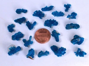 #9080 Cavansite-India--Large "Bowties"/ Unusual shapes [ONE PIECE ONLY] - Picture 1 of 5