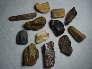 Excellent Fossil Wood Varieties Lot Of 12 Quartz Agate Stone Kansas 181 Grams - Bild 1 von 12