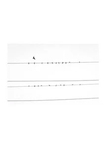 Poster Little Birds Poster su carta di alta qualita modernaStampa made in italy - Picture 1 of 5