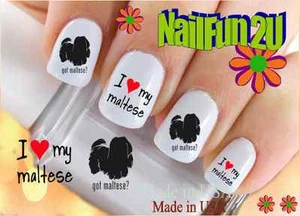 Nail Art 139A DOG BREED Got Maltese? Silhouette WaterSlide Nail Decals Transfers - Bild 1 von 2