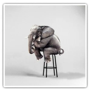 2 x Square Stickers 7.5 cm - Funny Elephant Sitting Down Cool Gift #16786 - Afbeelding 1 van 9