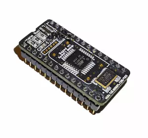 Nuevo Ensamblado Nano Swinsid SID Chip Repuesto C64 Commodore MOS 6581 8580 716 - Imagen 1 de 4