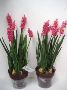 2 New 12in Potted Pink Lavender Bushes Artificial Silk Flowers Plants OFFER! - Picture 1 of 2