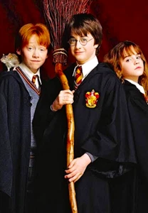 HARRY POTTER Photo Magnet @ 3"x5" - Picture 1 of 1