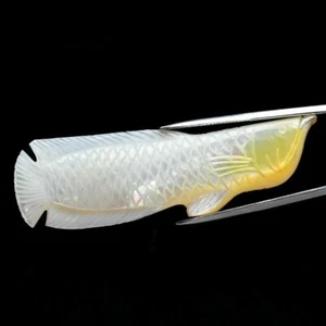 ★★ RARE CERTIFICAT !! POISSON EN NACRE : 72,61 CARATS ★★ P243.405T - Imagen 1 de 2