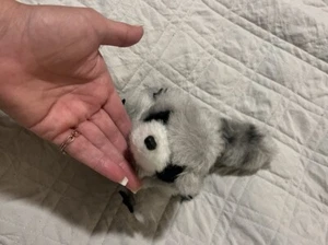 Vintg 1976 R. Dakin & Co. Pillow Pets Raccoon Stuffed Animal Nutshells Plush 11” - Picture 1 of 6