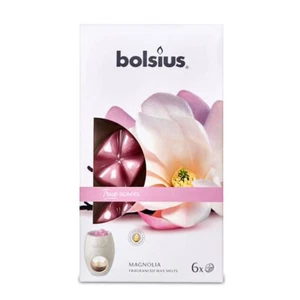 Bolsius Cera Se Derrite Magnolia 6er - Imagen 1 de 1