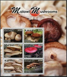 Malawi 2018. Mushrooms of Malawi (MNH OG **) Miniature Sheet - Picture 1 of 1