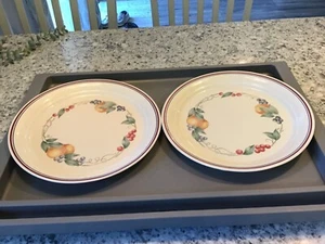 VINTAGE SET OF 2 CORNING CORELLE ABUNDANCE DINNER PLATES 10 1/4” - Picture 1 of 4