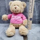 I'm the Big Sister T-Shirt Teddy Bear Stuffed Animal Plush, Pink, 12”