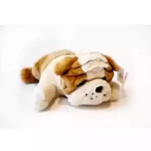 Bailey the Weighted Bulldog - Picture 1 of 3