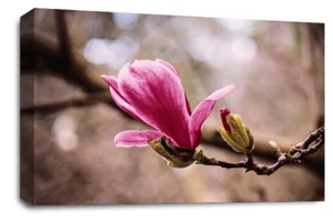 Floral Wall Art Pink Living Room Bedroom Framed Canvas Picture Ready to Hang - Picture 1 of 32