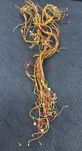 Viking VGSO105 VESO105SS Complete Wiring Harness Viking PE070317 - Picture 1 of 6
