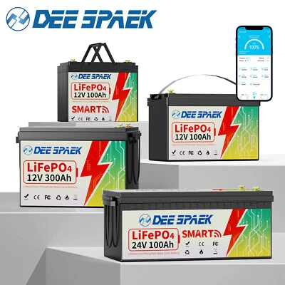 DEESPAEK Batería LiFePO4 12V/24V 100Ah 200Ah 300Ah Batería Litio BMS 8000+Ciclos RV Solar