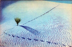 Ripples Of The White Sands National Monument New Mexico Postcard Unposted - Picture 1 of 2