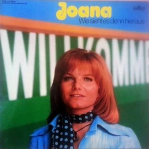 Joana / Wie Sieht Es Denn Hier Aus / Vinyl / Liedermacher / Politisches - Bild 1 von 3