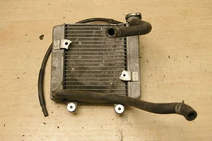 Honda FES125 Pantheon 125 coolant / cooling / water radiator + cap + hoses - Imagen 1 de 4