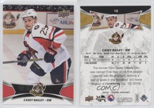 2016-17 Upper Deck AHL Red Casey Bailey #18