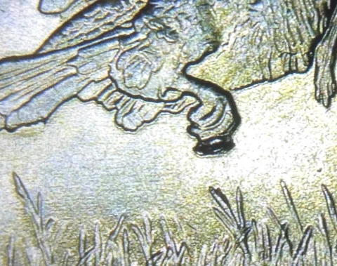 2015 P ATB Louisiana Kisatchie Bird Foot Die Break Chip Mint Error Coin Cover