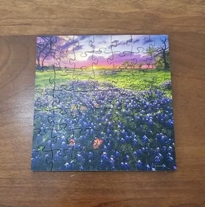 Zen Puzzles Bluebonnets 49 Stück Teaser handwerkliches Holzpuzzle - Bild 1 von 8
