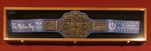 Estuche de exhibición de cinturón de lucha roble madera negra WWE MMA WWF gabinete de boxeo caja sombra - Imagen 1 de 14