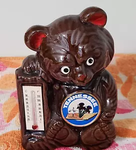 Panca e termometro orso marrone ceramica souvenir Nashville TN vintage COMPLETO - Foto 1 di 7