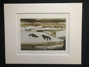 Andrew Wyeth "Breakup" - Matted Art Print-1994 - Picture 1 of 4