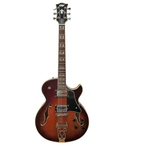 Guitarra eléctrica Jazz de cuerpo hueco sólido, Tobacco Sunburst - Imagen 1 de 4