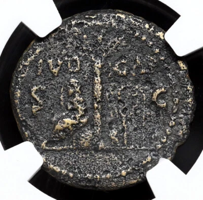 IMPERIO ROMANO. Tito, 79-81 d.C. Æ Semis, IVD CAP, Judaea Capta, NGC EN MUY BUEN ESTADO Foto 1 de 4