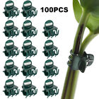100X Garden Plant Clips Tomato Tie Stem Orchid Support Grow Patio Training Ag'