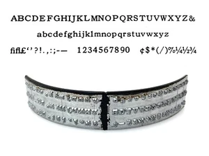 No.630-6D Bookman Type Shuttle for Varityper Typewriter Vtg Hammond - Picture 1 of 1