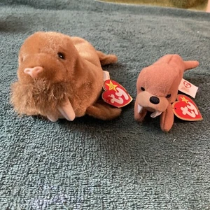 Ty Beanie Baby PAUL the WALRUS Beatles' Paul McCartney Tribute & Teenie Beanie - Bild 1 von 8