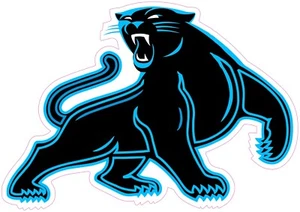 (NOT A PATCH) Carolina Panthers Football HTV Heat Transfer Vinyl Iron On - Picture 1 of 1