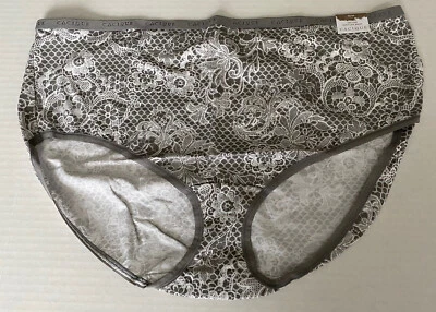 Lane Bryant Cacique 22/24 Gris Encaje Algodón Pierna Alta Calzoncillo Panty Ropa Interior Foto 1 de 4