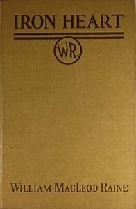 Iron Heart by William MacLeod Raine / 1923 Houghton Mifflin Hardcover Western - Picture 1 of 1