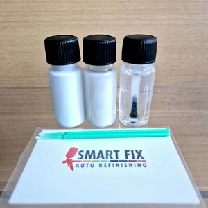 TESLA PPSW WHITE PEARL TOUCH UP PAINT REPAIR KIT, STONE CHIPS, SCRATCHES - Picture 1 of 1